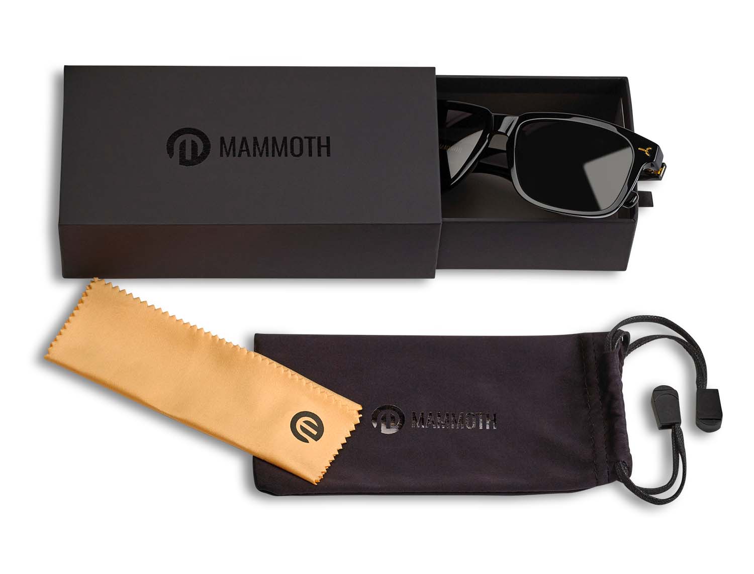 ARI SUNGLASSES - BLACK - CASE