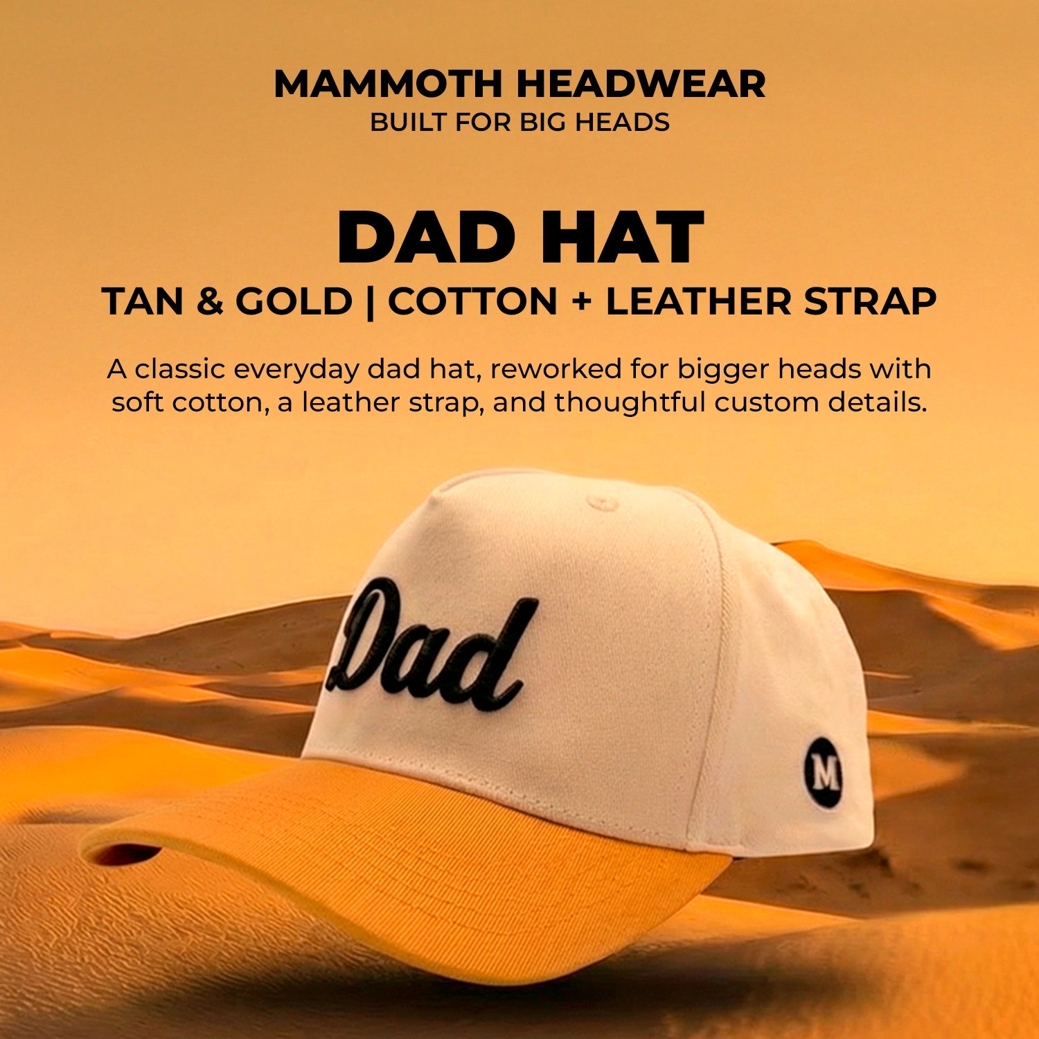 Image -template--19028340998282__slideshow_eJJxxA - 