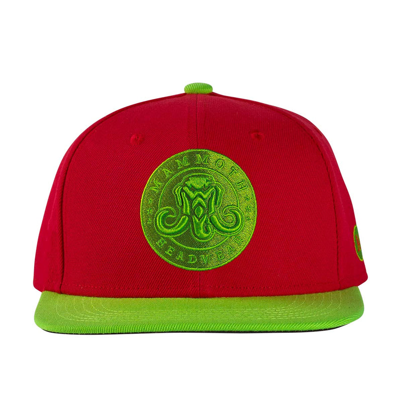 Classic Snapback - Holiday Spirit Front view
