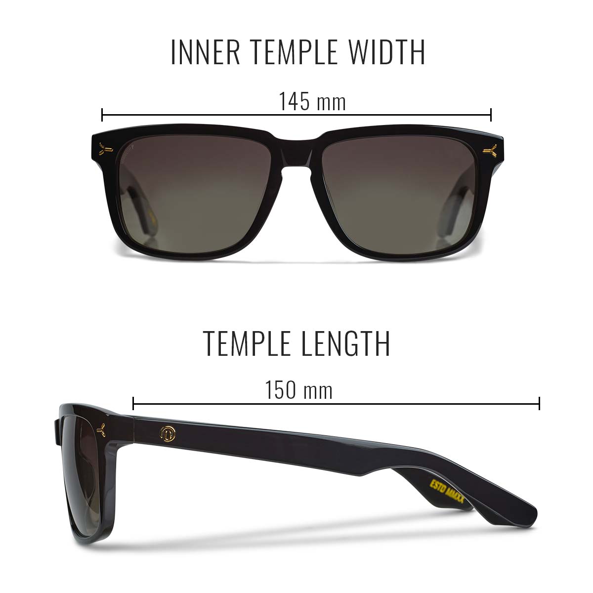 ARI SUNGLASSES - TORTOISE SIZE 